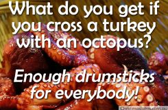 Crossing a turkey with an octopus